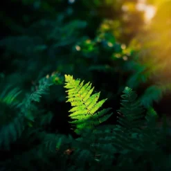 Sirius MC Automatic 28mm F/2.8 Camera Lens -Camera Promotion Store sirius mc automatic 28mm f2 8 camera lens 6