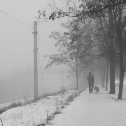 Sunactinon 28mm F/2.8 Camera Lens -Camera Promotion Store sunactinon 28mm f2 8 camera lens 8