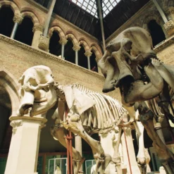 Tamron Zoom 38mm F/3.5 Camera Lens -Camera Promotion Store tamron zoom 38mm f3 5 camera lens 6