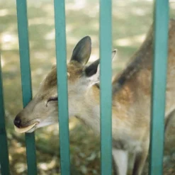 Tokina 28mm F/2.8 Camera Lens 18 Tokina 28mm F/2.8 Camera Lens -Camera Promotion Store tokina 28mm f2 8 camera lens 8