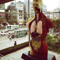 Tokina 28mm F/2.8 Camera Lens 19 Tokina 28mm F/2.8 Camera Lens -Camera Promotion Store tokina 28mm f2 8 camera lens 9