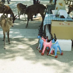 Tokina RMC 28mm F/2.8 Camera Lens -Camera Promotion Store tokina rmc 28mm f2 8 camera lens 8