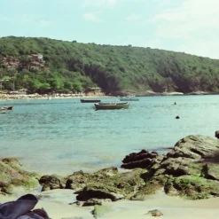 Vintage Pentax 35mm SLR Film Camera With Prime Lens -Camera Promotion Store vintage pentax 35mm slr film camera with prime lens 7