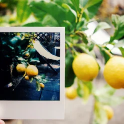 Vintage Polaroid Instant Film Land Camera 1000 -Camera Promotion Store vintage polaroid instant film land camera 1000 8