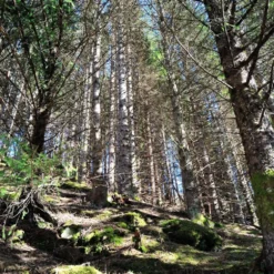 Vivitar 28mm F/3.5 Camera Lens -Camera Promotion Store vivitar 28mm f3 5 camera lens 9