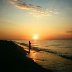 Yashica T5 Black 35mm Film Camera Point And Shoot -Camera Promotion Store yashica t5 black 35mm film camera point and shoot 18