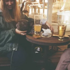 Zenit E Vintage Metal 35mm SLR Film Camera 26 Zenit E Vintage Metal 35mm SLR Film Camera -Camera Promotion Store zenit e vintage metal 35mm slr film camera 12