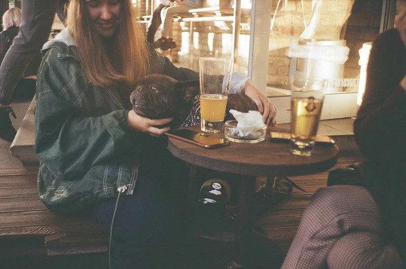 Zenit E Vintage Metal 35mm SLR Film Camera 14 Zenit E Vintage Metal 35mm SLR Film Camera - Image 12